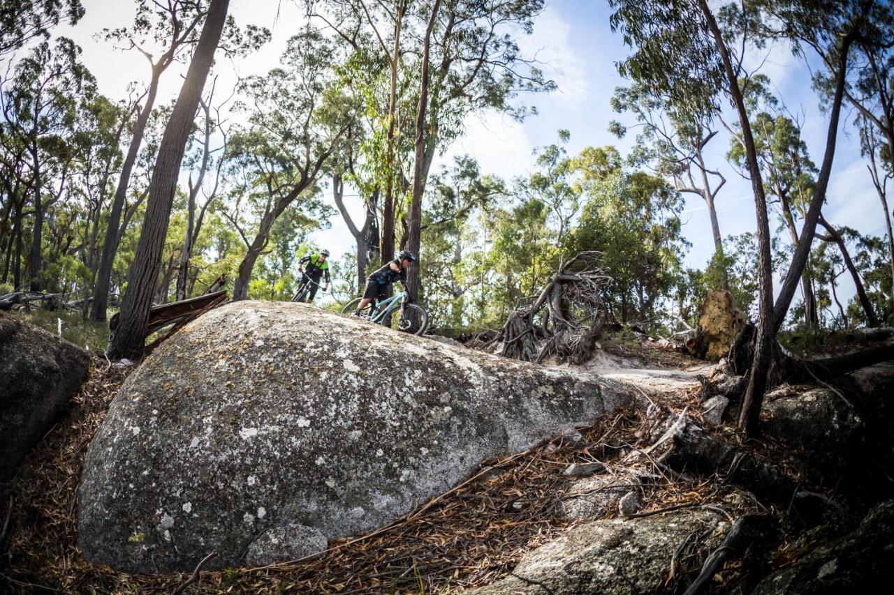 Отель St Helens Mountain Bike Base Экстерьер фото