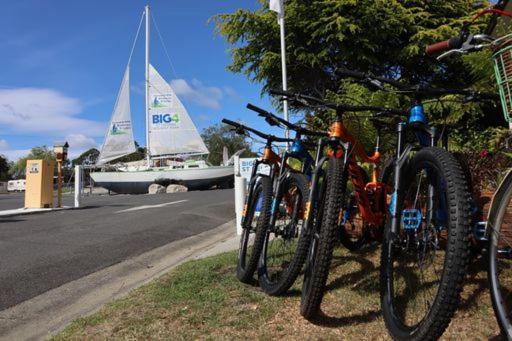 Отель St Helens Mountain Bike Base Экстерьер фото